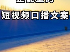 如何获取 pr18 芝麻酱正能量视频