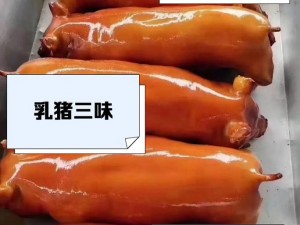 烤乳猪技艺大解析：技能属性深度解读与玩法伤害全面概览