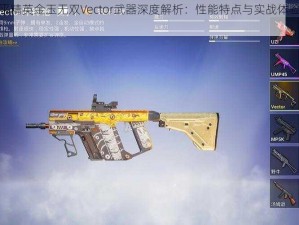 和平精英金玉无双Vector武器深度解析：性能特点与实战体验探究