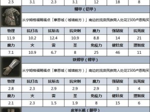 《艾尔登法环：近战毕业防具套装的全面解析与体验》