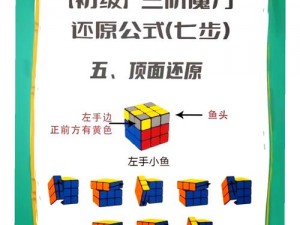 桶三十分钟全教程视频、桶三十分钟全教程视频：初学者必备技巧