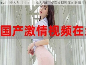 chinahd成人3d【chinhd 成人 3d：探索虚拟现实的激情世界】