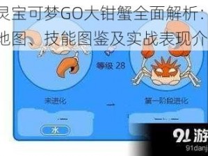 精灵宝可梦GO大钳蟹全面解析：分布地图、技能图鉴及实战表现介绍