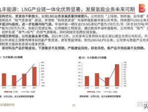 石油巨头揭秘：更高利润销售策略与技巧分享——探寻高效市场的竞争优势之道