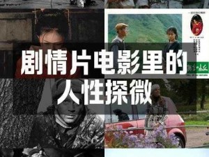 1313伦理苦瓜网电影-1313 伦理苦瓜网电影，一场关于人性的探索之旅