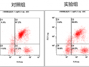 palipali2入口线路检测1(palipali2 入口线路检测 1：快速检测，畅游无忧)