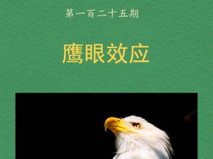 实时反应精准洞察：捕捉每一个细微变化，灵敏度至上