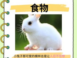 东北一家人1一6兔子说,东北一家人 1-6：兔子说的那些事