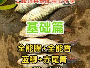 荒食野钓独门秘籍：经典配方揭秘，自然饵料搭配之道，垂钓高手之选