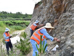 大地资源中文版第9页、如何在大地资源中文版第 9 页中找到所需信息？