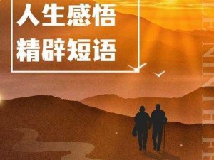 当我们面对生命的终点：'没有明天'之歌的启示与思考