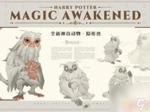 哈利波特魔法觉醒：神奇动物空间探险之旅指南——探寻魔法与奇幻动物的互动体验