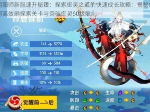 阴阳师新服速升秘籍：探索御灵之道的快速成长攻略：揭秘如何高效刷探索关卡与突破御灵60级限制