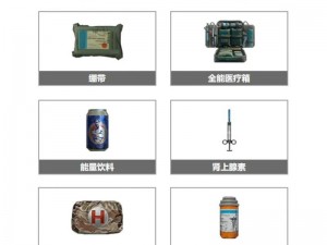 绝地求生药品使用指南：全面解析药品最佳使用阶段与细节全教学