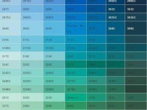 潘通 6199C 色卡：专业色彩交流的实用工具