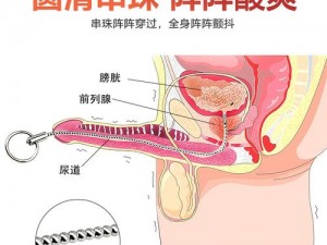 女生张腿男生桶，高品质成人情趣用品，让你享受极致体验