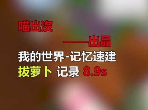 91 爽拔萝卜，一款功能强大的手机清理软件，快速释放内存，提升手机性能