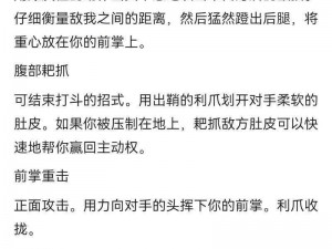 关于比特大爆炸超级武士喵打法攻略的实用解析与深度指南