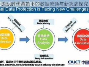 Blibl时代背景下的数据流通与新挑战探究
