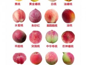 蜜桃5-如何评价蜜桃 5的口感和品质？