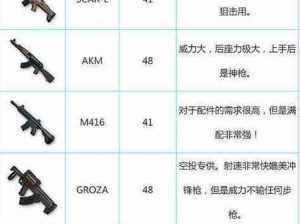 绝地求生枪械个人使用排名揭秘：AKM仅居季军，究竟哪些武器更胜一筹？