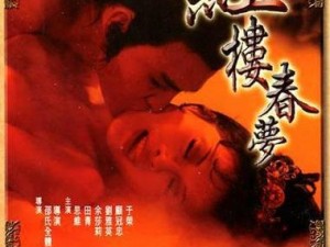 红楼梦婬史台湾三级_红楼梦婬史：台湾三级版