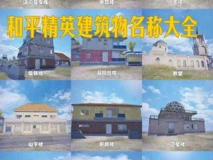 《和平精英：实战技巧与建筑大师级盖房教程》