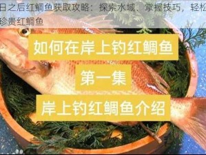 明日之后红鲷鱼获取攻略：探索水域、掌握技巧，轻松收获珍贵红鲷鱼