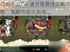 火影忍者手游PVP通灵兽最佳搭配阵容推荐攻略：策略性组合指南