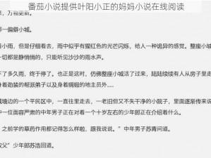 番茄小说提供叶阳小正的妈妈小说在线阅读