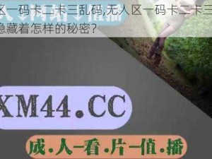 无人区一码卡二卡三乱码,无人区一码卡二卡三乱码，到底隐藏着怎样的秘密？