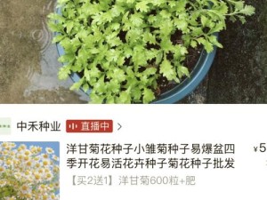 台湾李宗瑞种子——高品质花卉种子，助您打造美丽花园