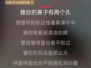 抖音神曲母猪都会飞背后的故事与歌曲解析：母猪飞翔背后的音乐传奇