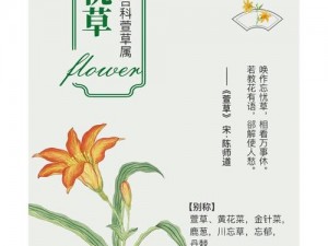 久久丫精品忘忧草产品【久久丫精品忘忧草产品，口感鲜美，让人回味无穷】