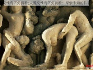 人喾交性专区免费看;人喾交性专区免费看：探索未知的性爱世界