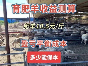 养羊业一年盈利预测：投入经营分析与利润空间探究——关于养殖50只羊的年收入估算