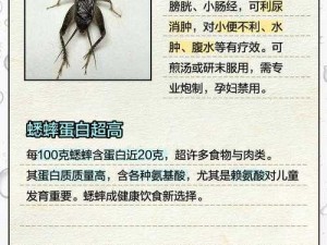 古代蛐蛐全属性解析：探寻最强蛐蛐的传世秘笈