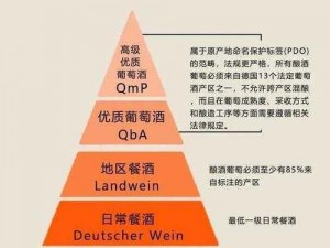 96精产国品一二三区别(96 精产国品一二三有何区别？)