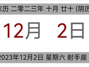 中文在线12月2日快速上涨_中文在线 12 月 2 日为何快速上涨？