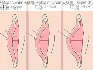 大陰蒂BBwBBB大陰唇(大陰蒂 BBwBBB 大陰唇，探索私密處的奇妙世界)