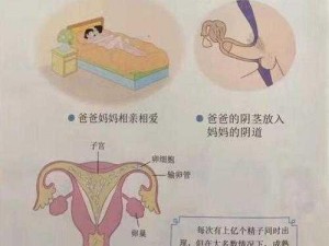 男生女生差差差差很疼 APP 免费——提供两性健康知识与性教育的实用工具