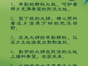 耕耘大婶的肥沃的土地，用汗水浇灌的绿色之选