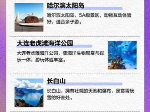 东北之夏官网权威地址分享：探寻东北夏日风情，官网入口大揭秘