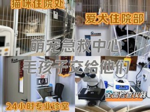 关于萌宠救援队设备安装与配置详解：全面保障宠物安全与健康