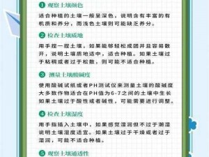 最远的边陲土壤属性调整方法详解：有效调整土壤属性提升作物生长力