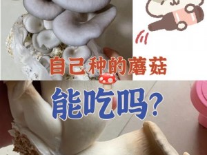 一款专注于提供优质视频内容的应用程序——蘑菇视频蘑菇，让你的娱乐生活更加丰富多彩