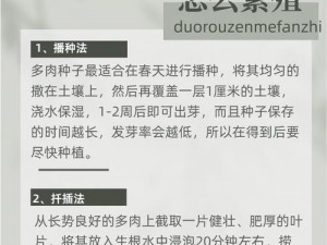 骨科多肉在古代：探寻古法养骨与多肉植物的和谐共生之道