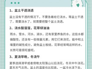 新手养花指南：必读书籍推荐与实用技巧详解