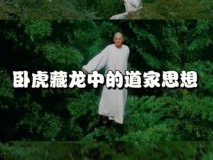 卧虎藏龙中的圣火令奥秘：探索其使用之道与神秘力量