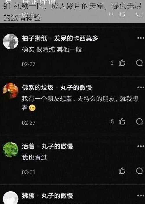 91 视频一区，成人影片的天堂，提供无尽的激情体验